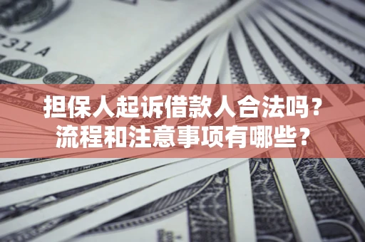 武汉担保人起诉借款人合法吗？流程和注意事项有哪些？