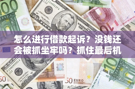 武汉怎么进行借款起诉？没钱还会被抓坐牢吗？抓住最后机会！