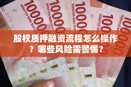 武汉股权质押融资流程怎么操作？哪些风险需警惕？