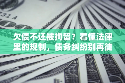 武汉欠债不还被拘留？看懂法律里的规制，债务纠纷别再徒劳奔波