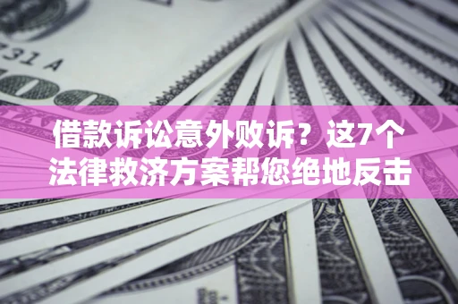 武汉借款诉讼意外败诉？这7个法律救济方案帮您绝地反击！