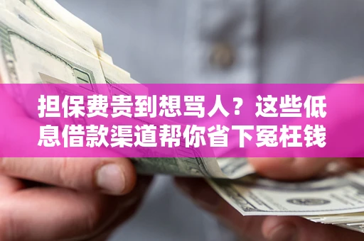 武汉担保费贵到想骂人？这些低息借款渠道帮你省下冤枉钱