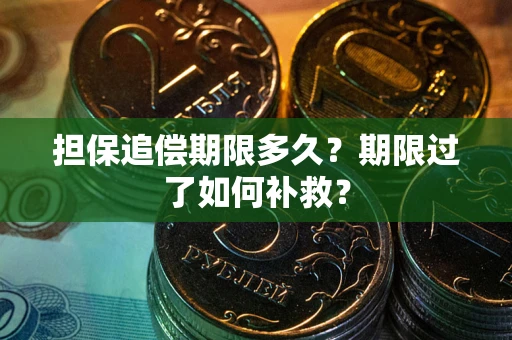 武汉担保追偿期限多久？期限过了如何补救？
