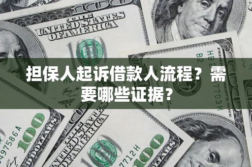 武汉担保人起诉借款人流程？需要哪些证据？