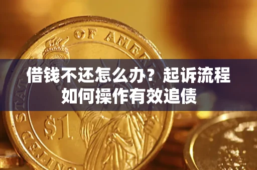 武汉借钱不还怎么办？起诉流程如何操作有效追债