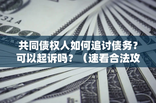武汉共同债权人如何追讨债务？可以起诉吗？（速看合法攻略）