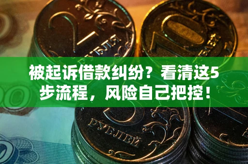 武汉被起诉借款纠纷？看清这5步流程，风险自己把控！