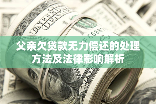 武汉父亲欠贷款无力偿还的处理方法及法律影响解析