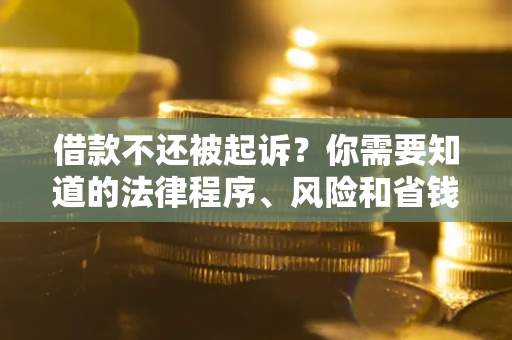 武汉借款不还被起诉？你需要知道的法律程序、风险和省钱技巧
