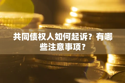 武汉共同债权人如何起诉？有哪些注意事项？